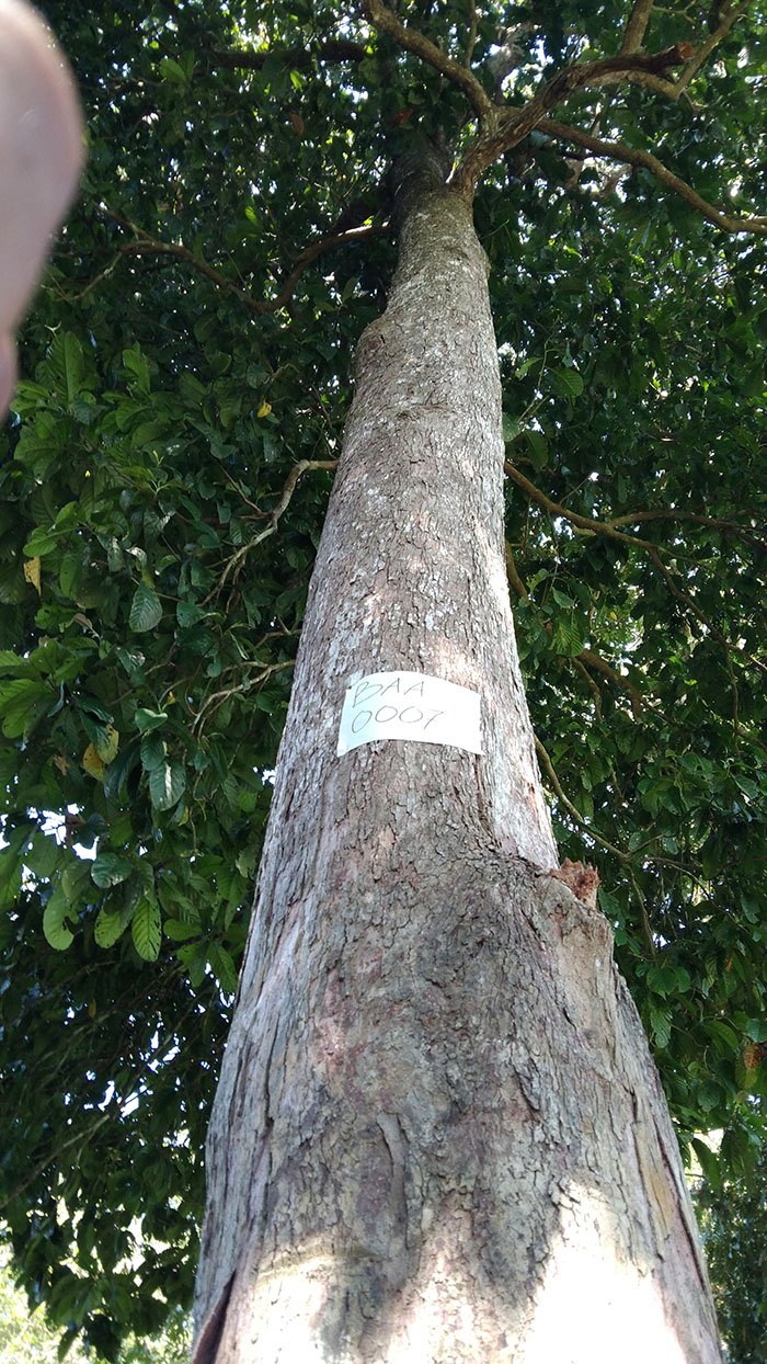 Berkas